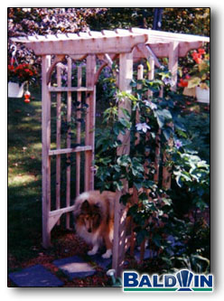 Rose Arbor photo 2